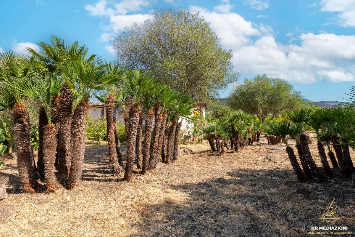 Villa in vendita ad Alghero - foto 4