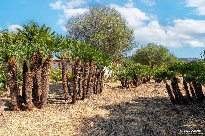 Villa in vendita a Alghero - foto 4