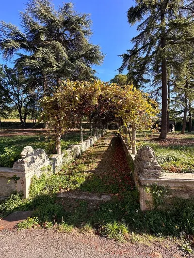 Villa in vendita a Cassano Spinola - foto 6