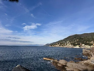 Villa in vendita a Recco - foto 8