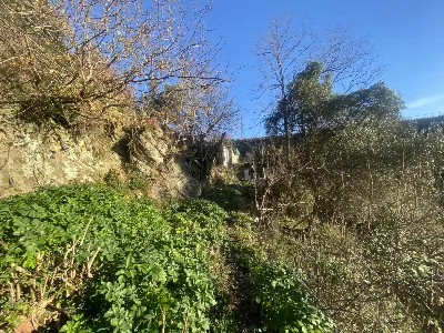 Villa in vendita a Genova, Granarolo, oreg... - foto 9