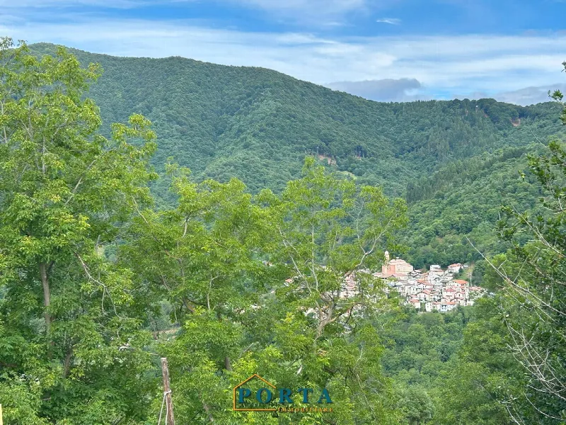Rustico/Casale in vendita a Roccaforte Mondovì - foto 1