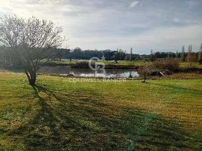 Villa in vendita a Sutri - foto 4
