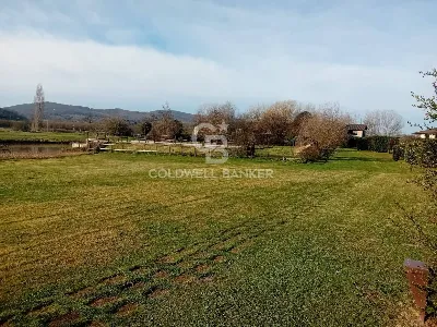 Villa in vendita a Sutri - foto 5
