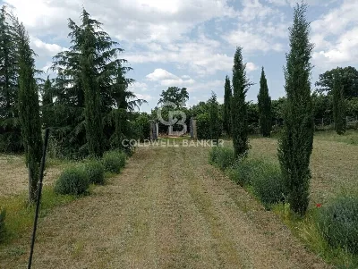 Villa in vendita a Sutri - foto 4