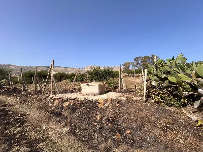 Rustico/Casale in vendita a Buseto Palizzo... - foto 5