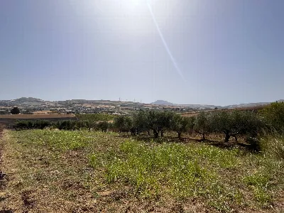 Rustico/Casale in vendita a Buseto Palizzo... - foto 6