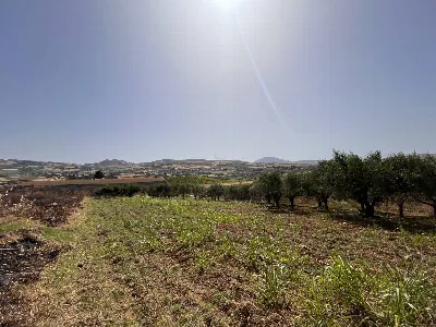 Rustico/Casale in vendita a Buseto Palizzo... - foto 7