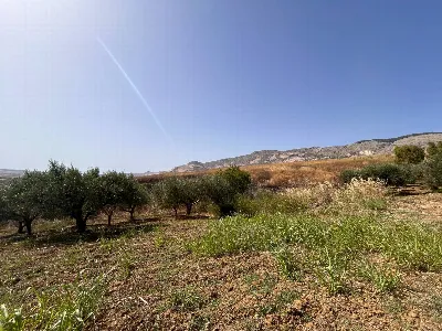 Rustico/Casale in vendita a Buseto Palizzo... - foto 8