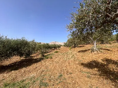 Rustico/Casale in vendita a Buseto Palizzo... - foto 9