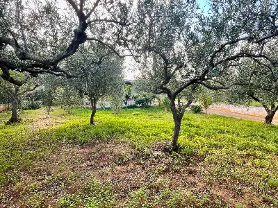 Villa in vendita a Castellammare del Golfo - foto 5