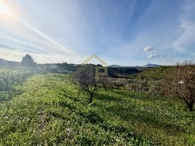 Villa in vendita a Partinico - foto 8