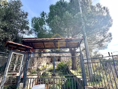 Villa in vendita a Bolognetta - foto 2