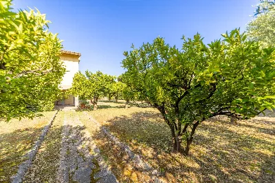 Villa in vendita a Monte Argentario - foto 3