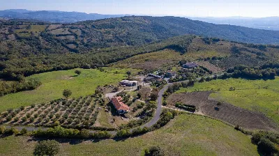 Villa in vendita a Scansano - foto 5