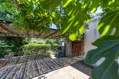 Villa in vendita a Monte Argentario - foto 6