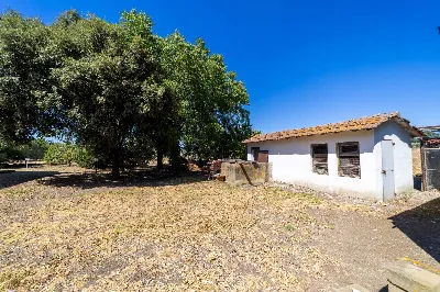 Villa in vendita a Capalbio - foto 5