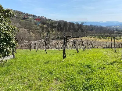 Rustico/Casale in vendita a Strangolagalli - foto 10