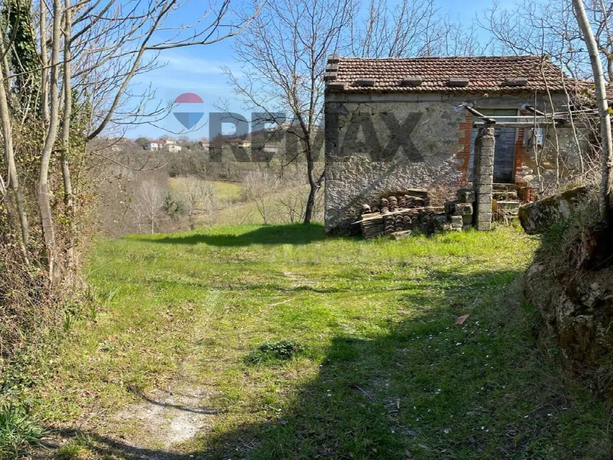 Rustico/Casale in vendita a Strangolagalli - foto 3
