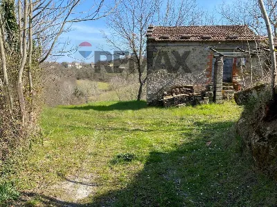 Rustico/Casale in vendita a Strangolagalli - foto 3