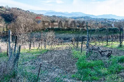 Rustico/Casale in vendita a Strangolagalli - foto 9