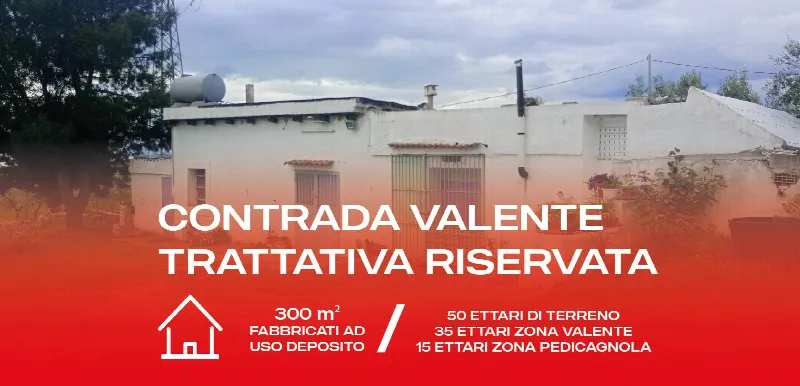 Rustico/Casale in vendita a San Giovanni Rotondo - foto 1
