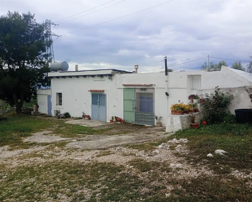 Rustico/Casale in vendita a San Giovanni Rotondo - foto 2