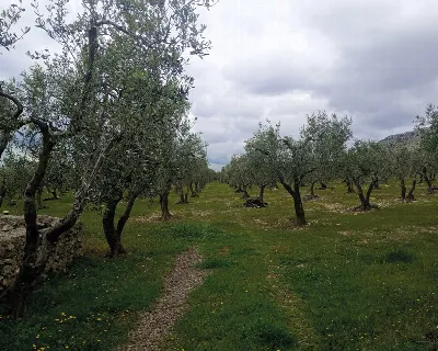 Rustico/Casale in vendita a San Giovanni R... - foto 4