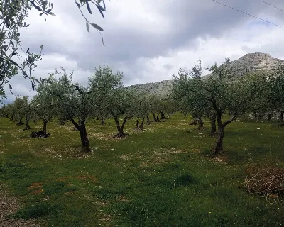 Rustico/Casale in vendita a San Giovanni R... - foto 7