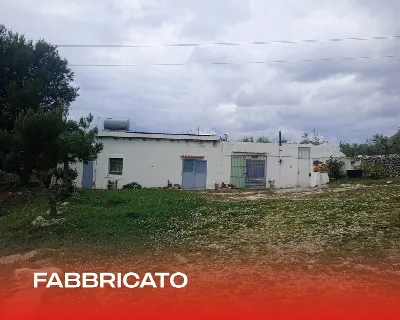 Rustico/Casale in vendita a San Giovanni R... - foto 8