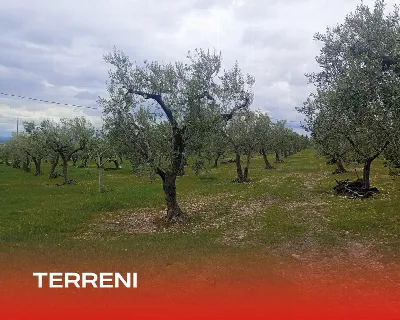Rustico/Casale in vendita a San Giovanni R... - foto 9