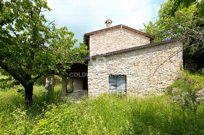 Rustico/Casale in vendita a Carpegna - foto 3