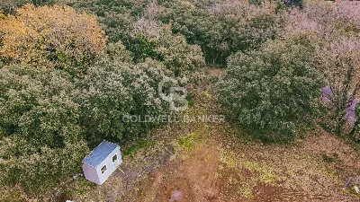 Villa in vendita a Roma, Castel Di Leva, V... - foto 7