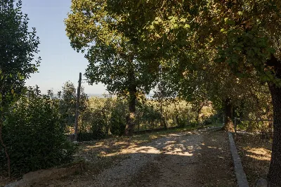 Rustico/Casale in vendita a Magione - foto 9
