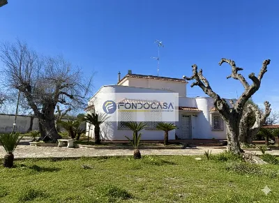Villa in vendita a San Donato di Lecce - foto 4