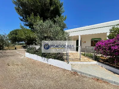 Casa Indipendente in vendita a Alliste - foto 2