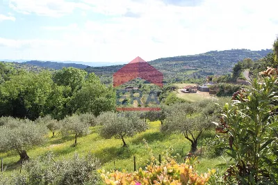 Villa in vendita a Agira - foto 5