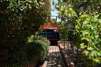 Villa in vendita a Pedara - foto 9