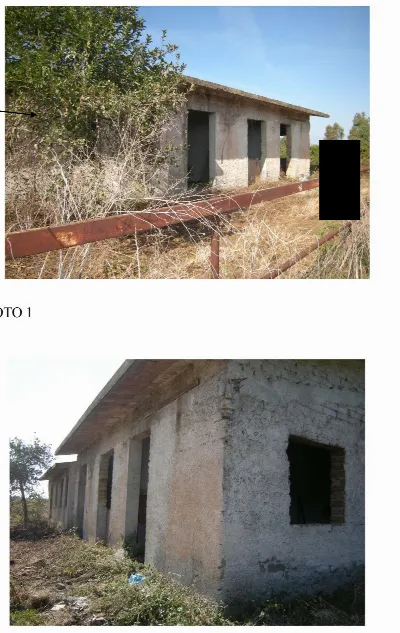 Rustico/Casale in vendita a Ardea - foto 3