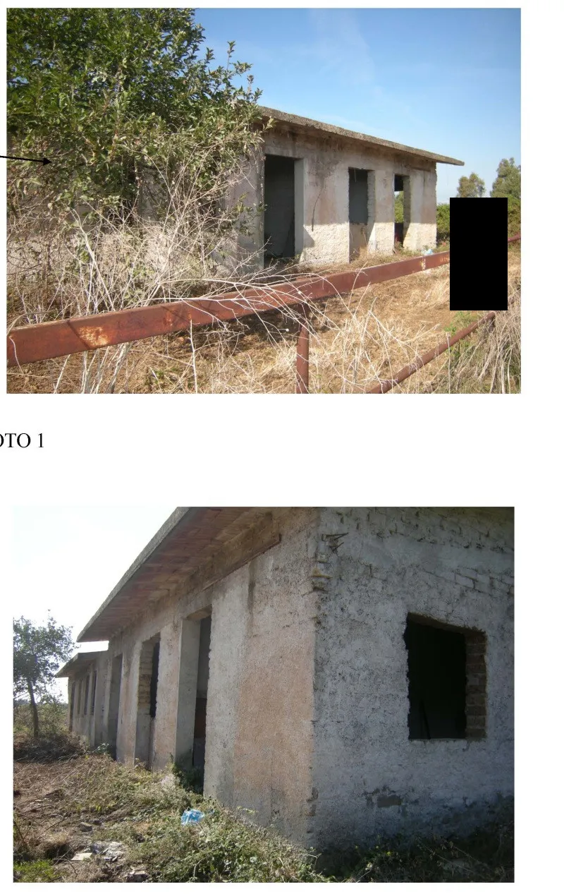 Rustico/Casale in vendita a Ardea - foto 3