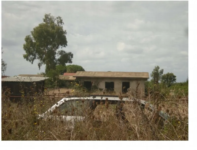 Rustico/Casale in vendita a Ardea - foto 4
