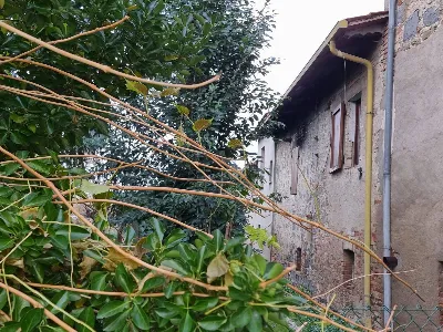 Casa Indipendente in vendita a Torgiano - foto 6