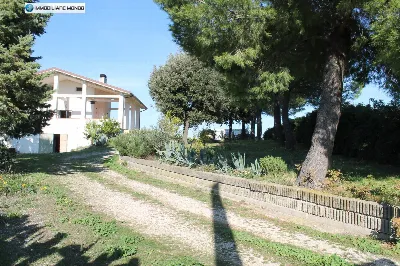 Rustico/Casale in vendita a Guglionesi - foto 8