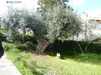 Villa in vendita a Termoli - foto 4