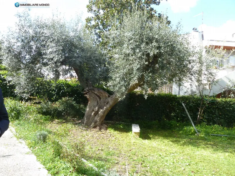 Villa in vendita a Termoli - foto 4