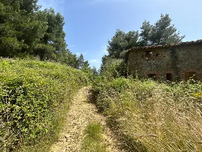 Rustico/Casale in vendita a Piegaro - foto 4
