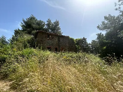 Rustico/Casale in vendita a Piegaro - foto 5