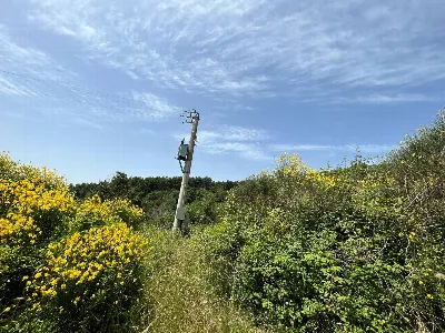 Rustico/Casale in vendita a Piegaro - foto 7
