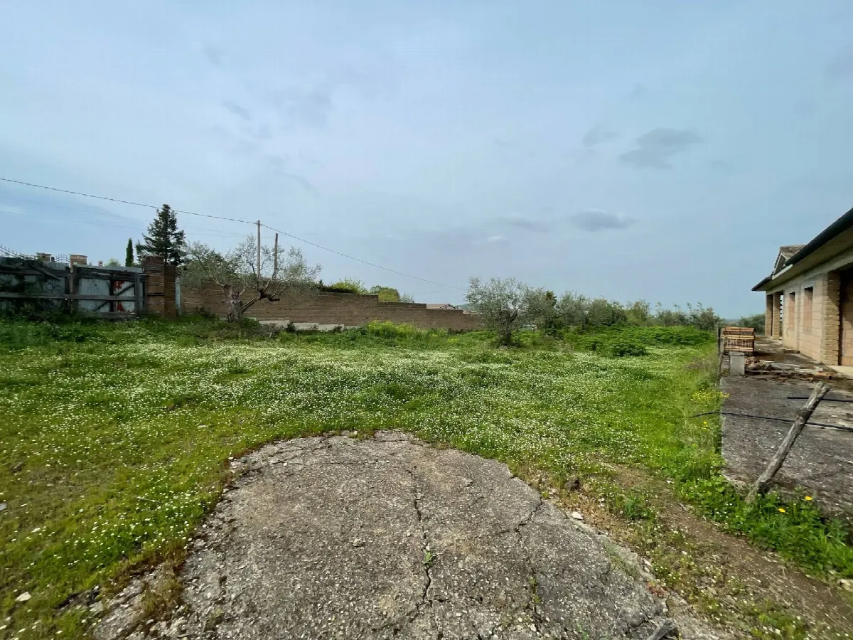 Rustico/Casale in vendita a Monterosi - foto 4