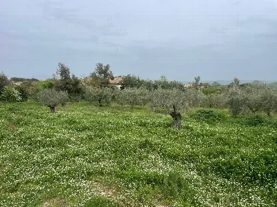 Rustico/Casale in vendita a Monterosi - foto 7